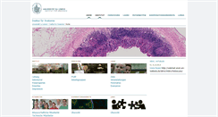 Desktop Screenshot of anat.uni-luebeck.de